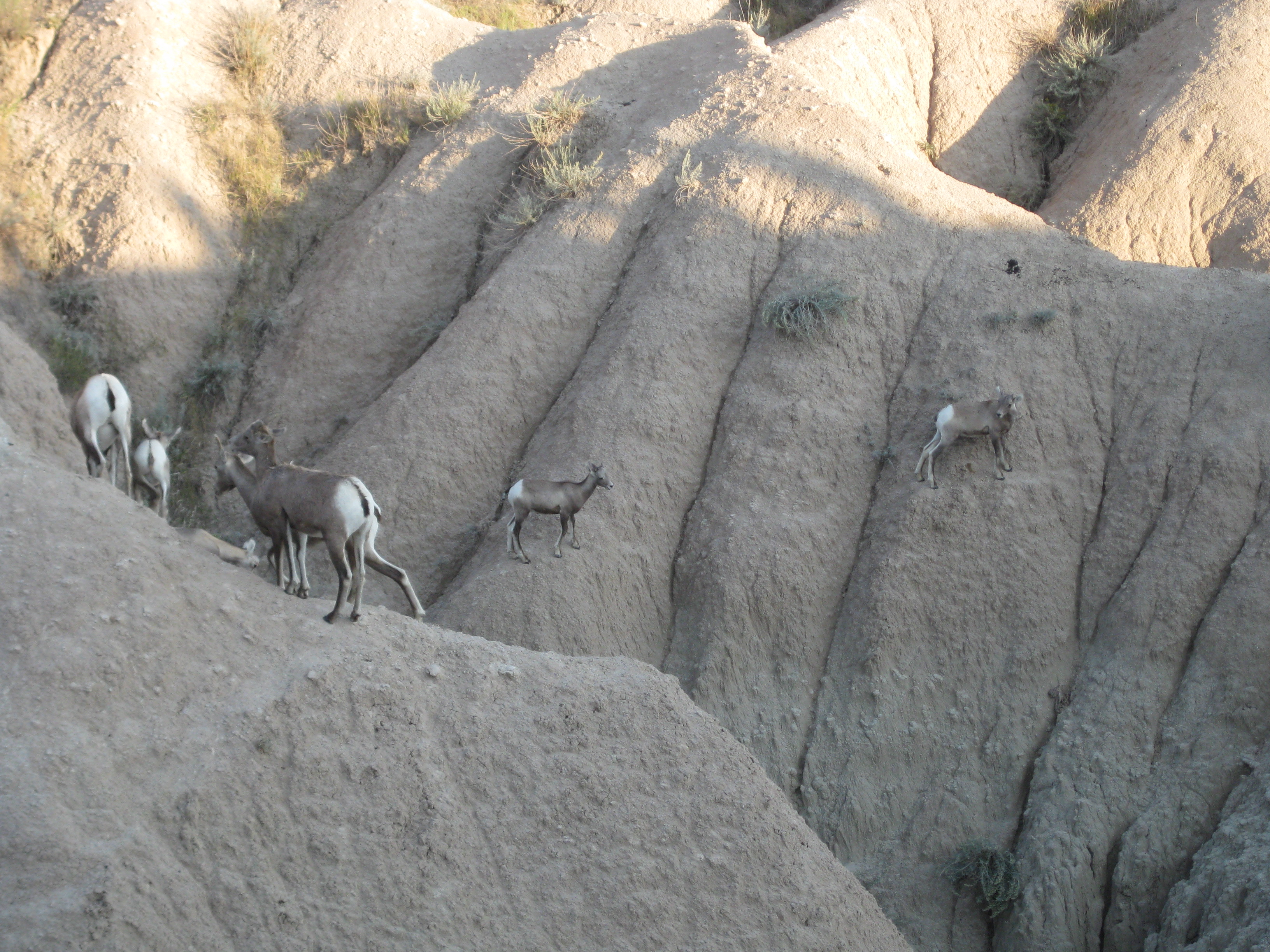 South Dakota, The Badlands and the Black Hills – August 2012 | Michigan  Traveler, image size:3264x2448